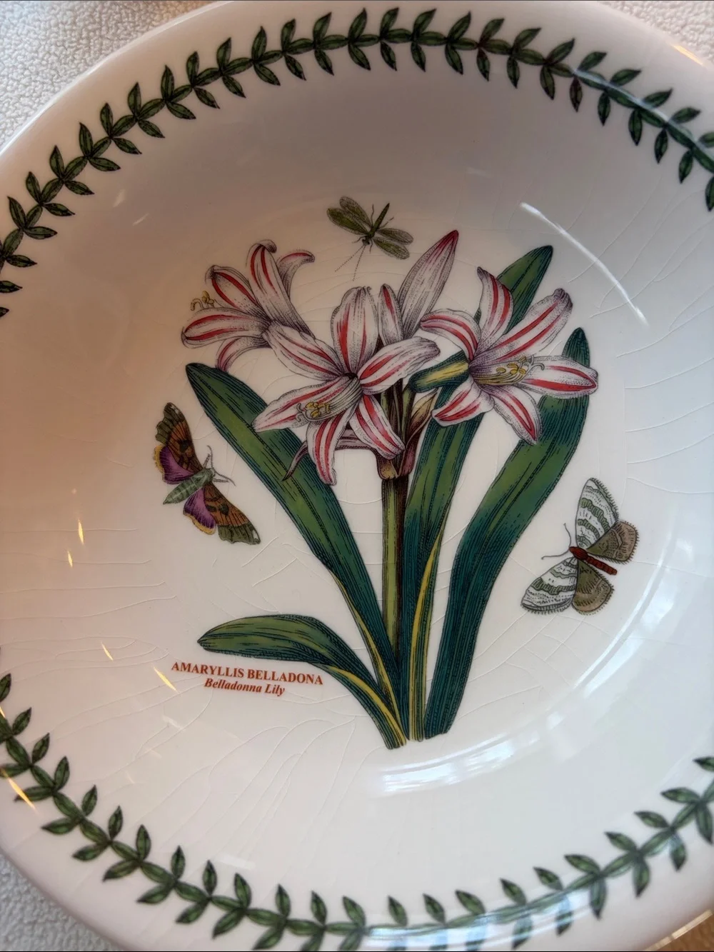 Portmeirion 8” bowls